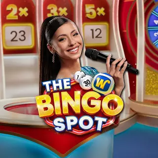 Launch the bingo spot